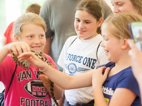 a group of girls in a line