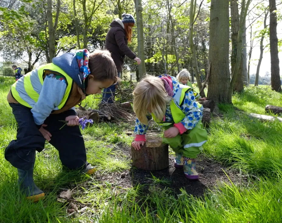 a group of people in the woods