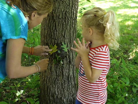 a person and a child touching a tree trunk
