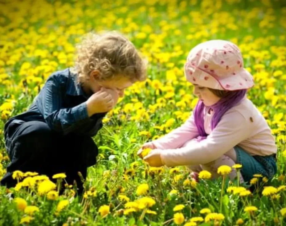 a couple of children in a field of yellow flowers