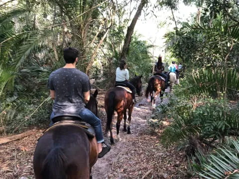 people riding horses on a trail