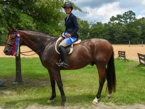 a man riding a horse
