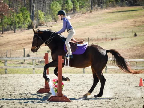 a person riding a horse
