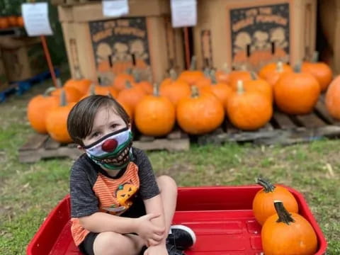 a baby sitting in a red wagon in front of a pumpkin patch