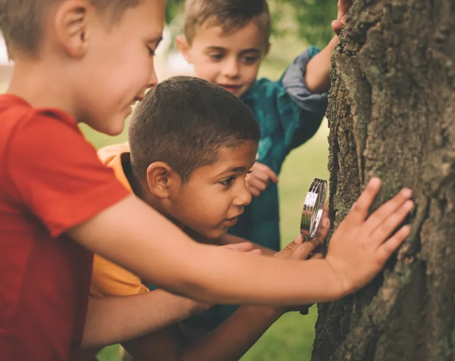 a group of boys playing with a tree