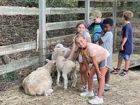 a group of kids petting sheep