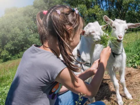 a woman holding a goat