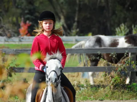 a person riding a horse