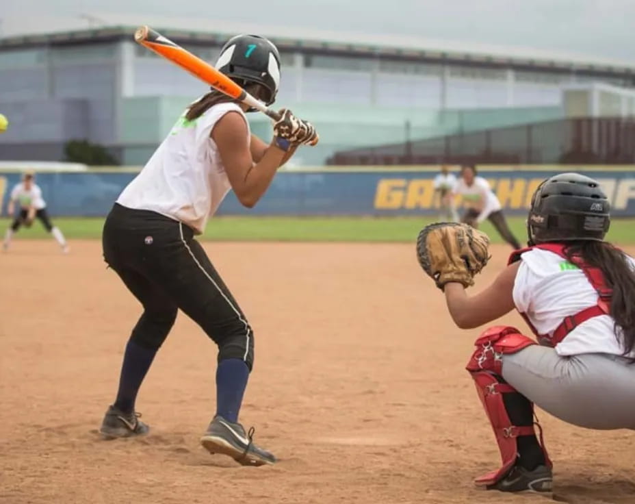 a person swinging a baseball bat