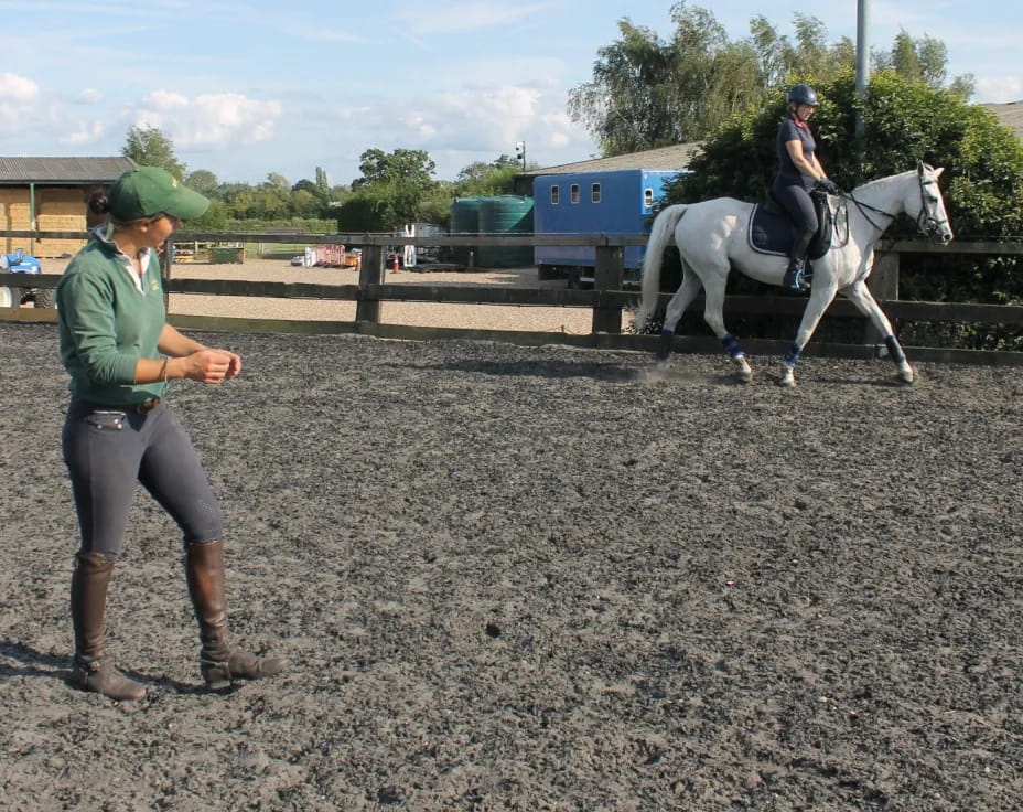 a person leading a horse