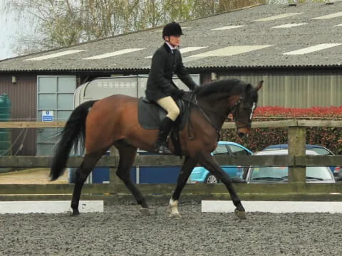 a person riding a horse