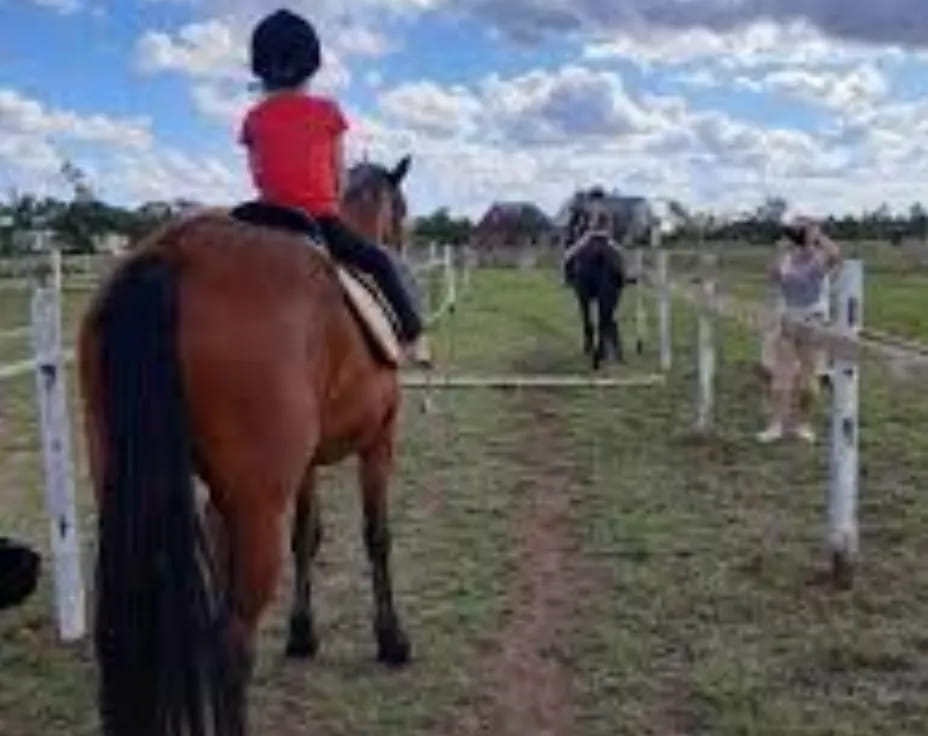 a person riding a horse