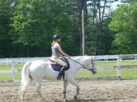 a person riding a horse