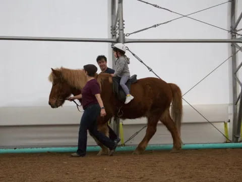 a group of people riding a horse