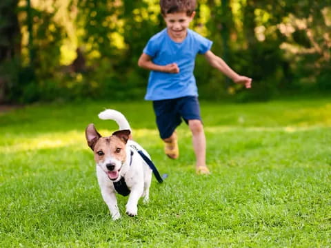 a boy running with a dog