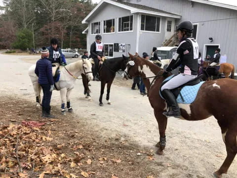 a group of people riding horses