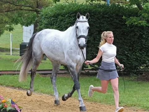 a person walking a horse