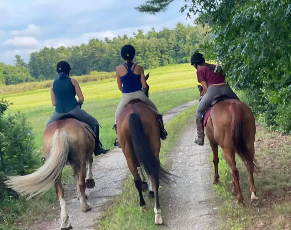 a group of people riding horses