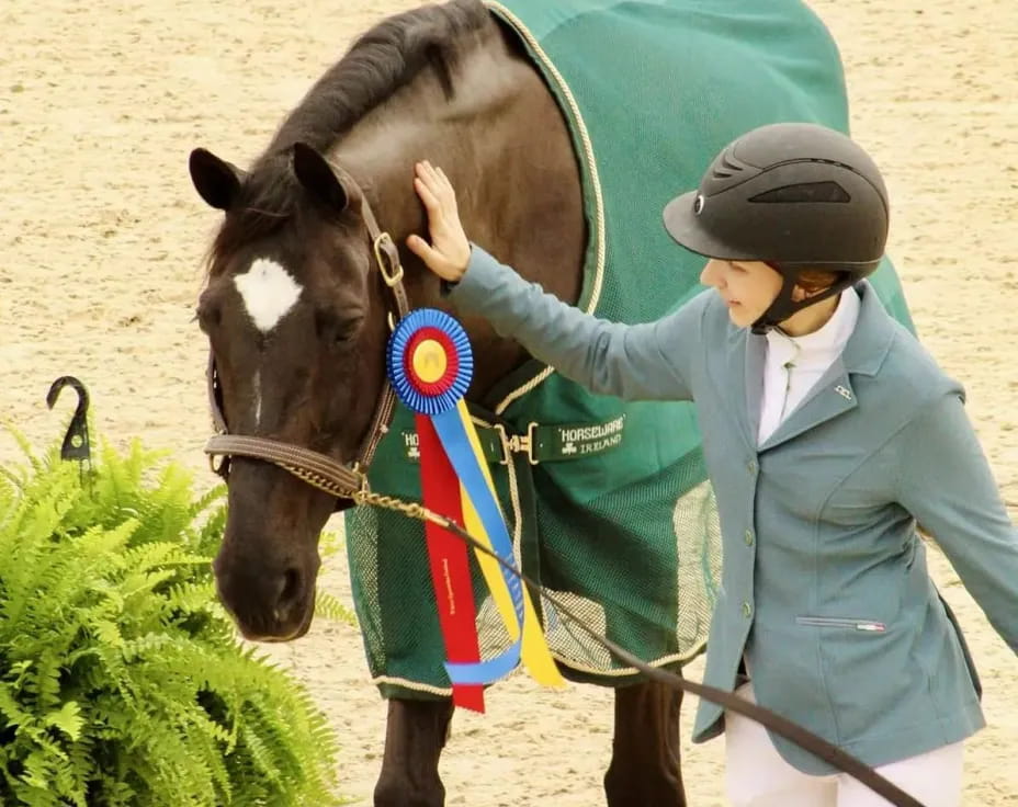 a person holding a horse