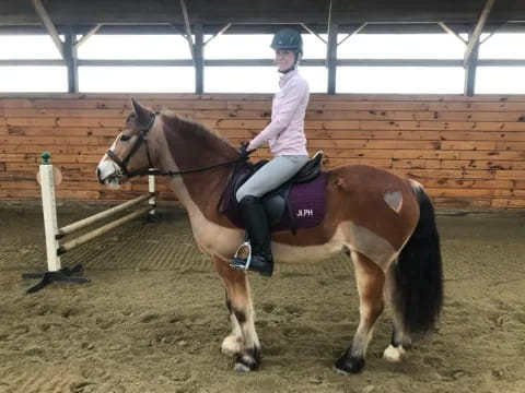 a person riding a horse