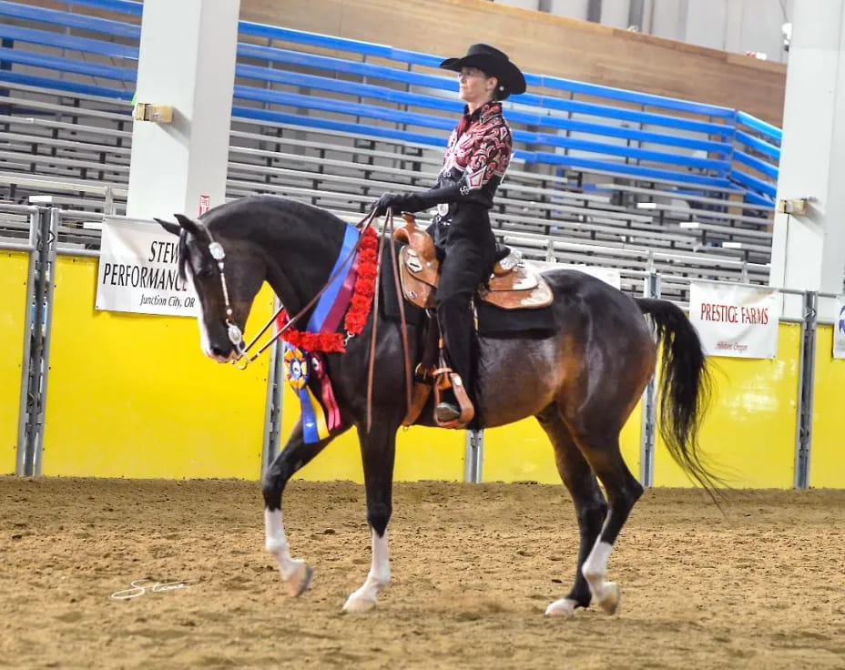 a person riding a horse