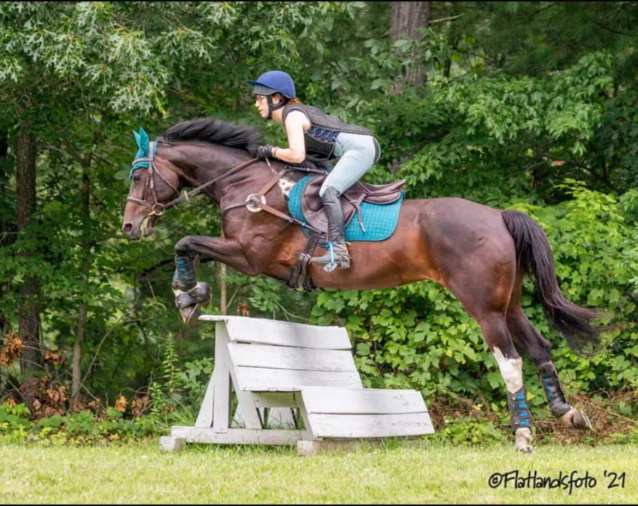 a person riding a horse over a jump