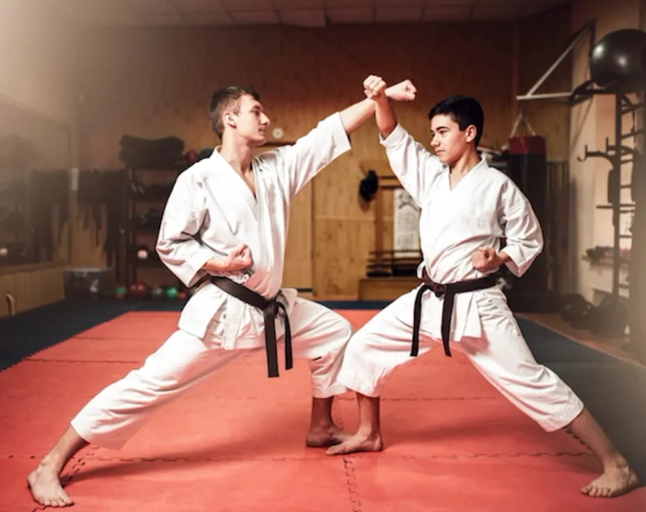 two men in karate uniforms