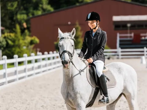 a person riding a horse