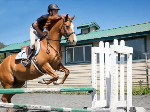a person riding a horse