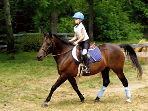 a person riding a horse