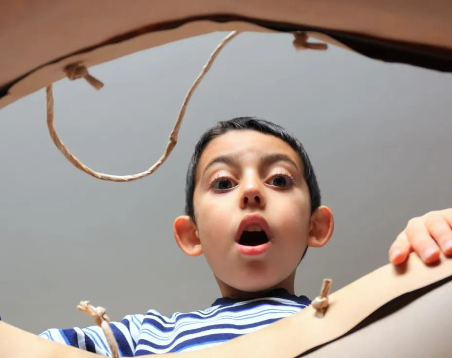 a boy holding a wooden object