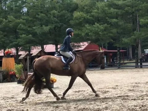 a man riding a horse