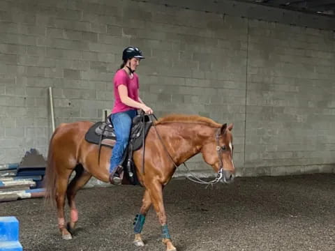 a person riding a horse