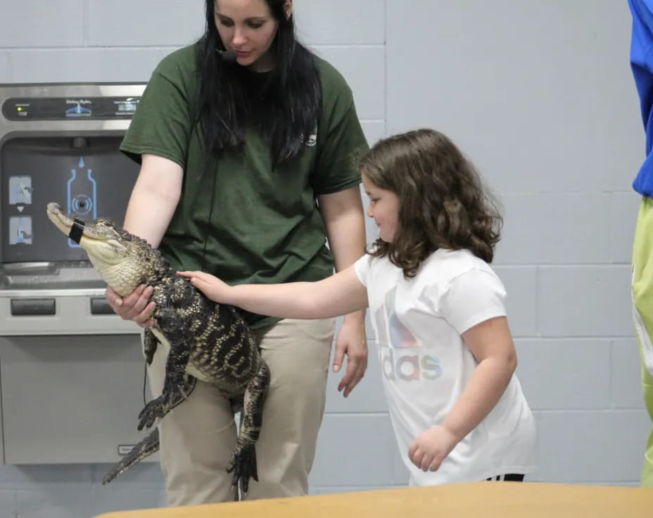 a person holding a reptile