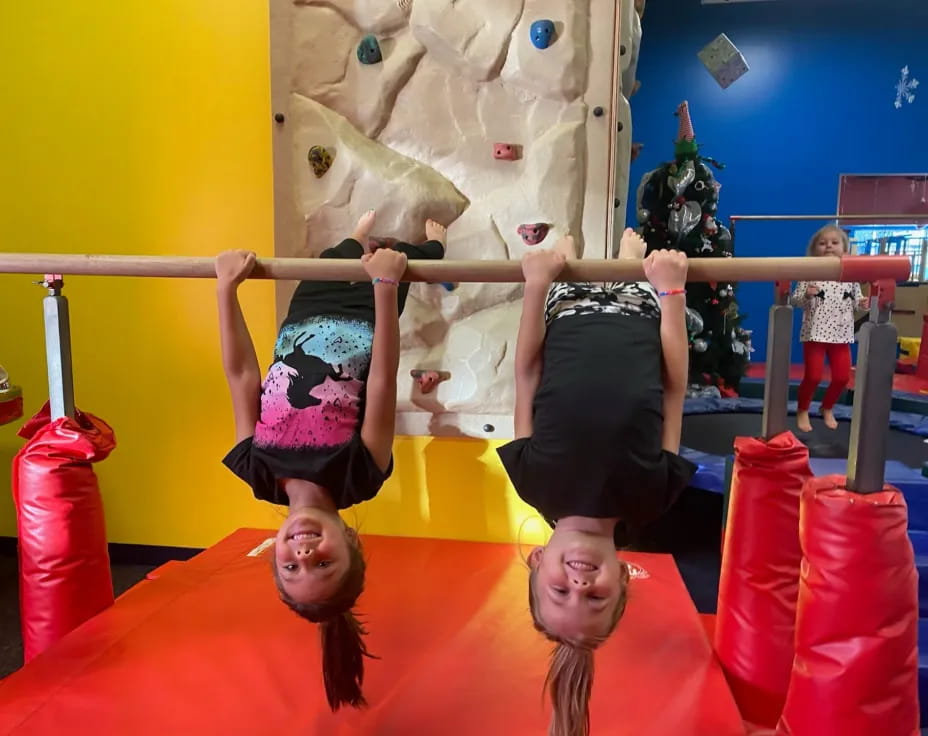 a group of girls in a gym