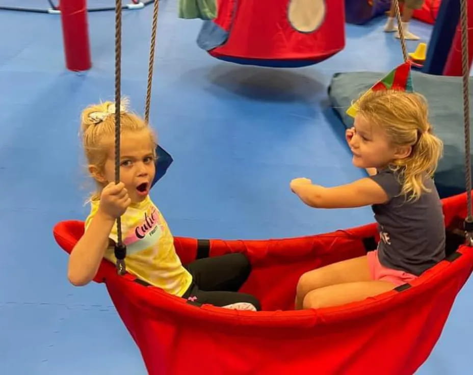 two children on a swing