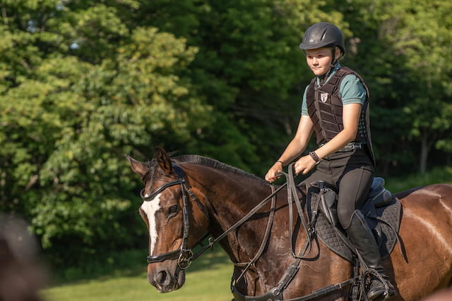 a person riding a horse
