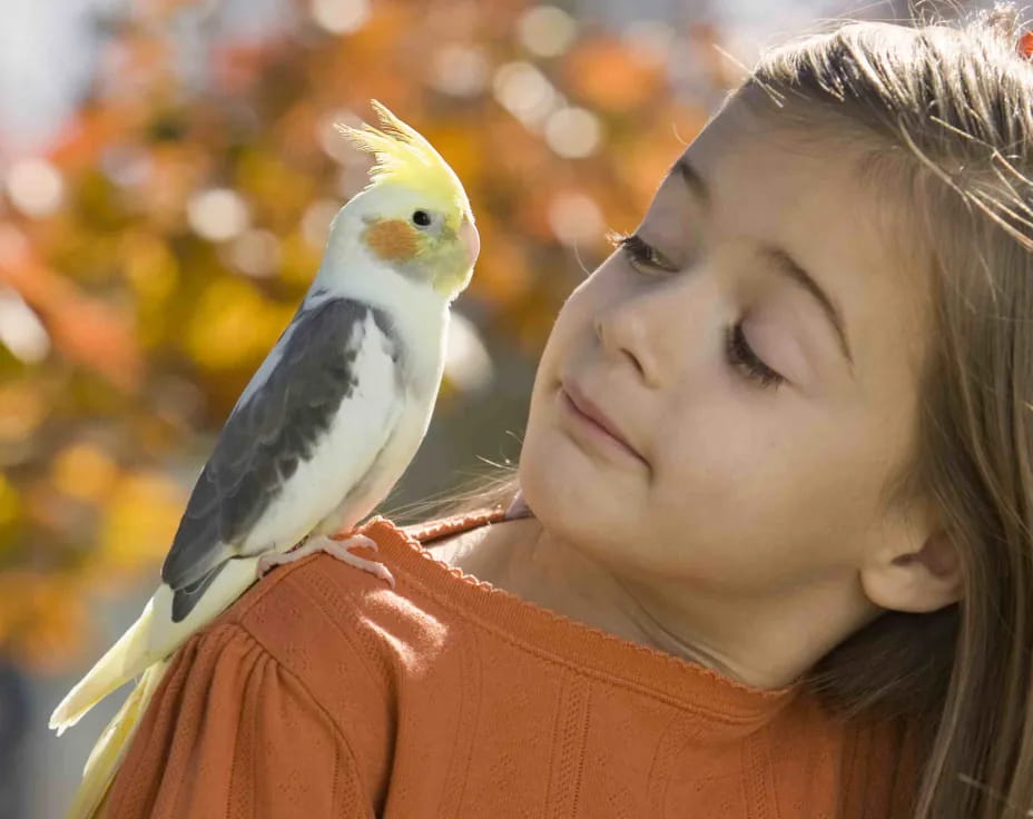 a bird on a woman's shoulder