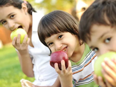 a group of kids eating apples