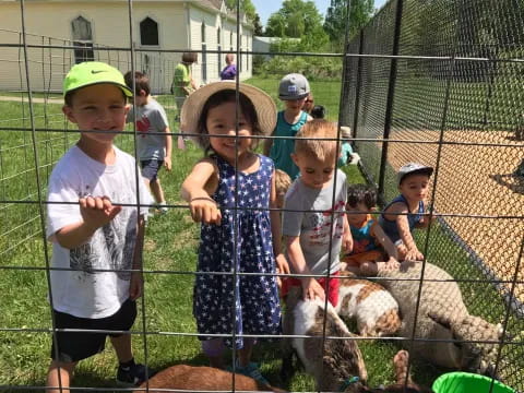 a group of children with sheep