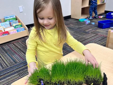 a girl playing with toys
