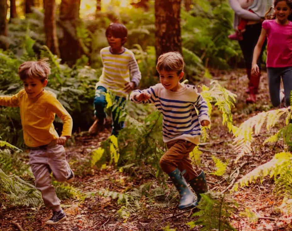 a group of children running in the woods