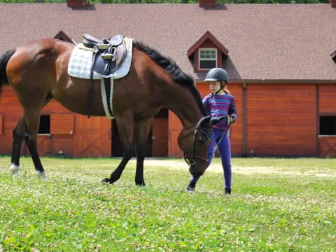 a girl walking a horse