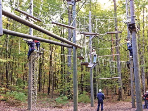 people climbing a tree