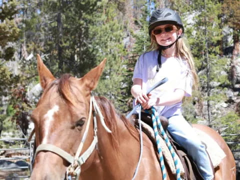 a person riding a horse