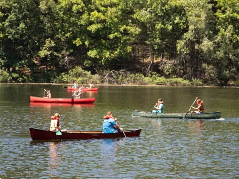 people rowing on a lake