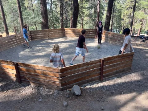 a group of kids playing in a park