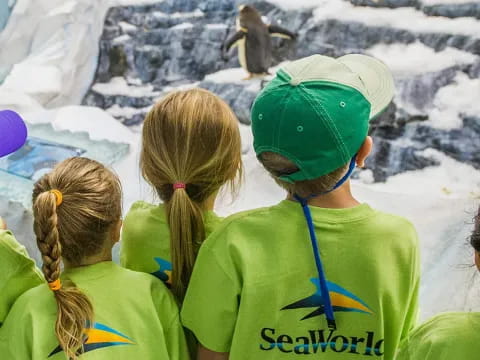 a group of children looking at penguins