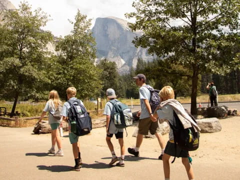 a group of people walking on a path with trees and a mountain in the background