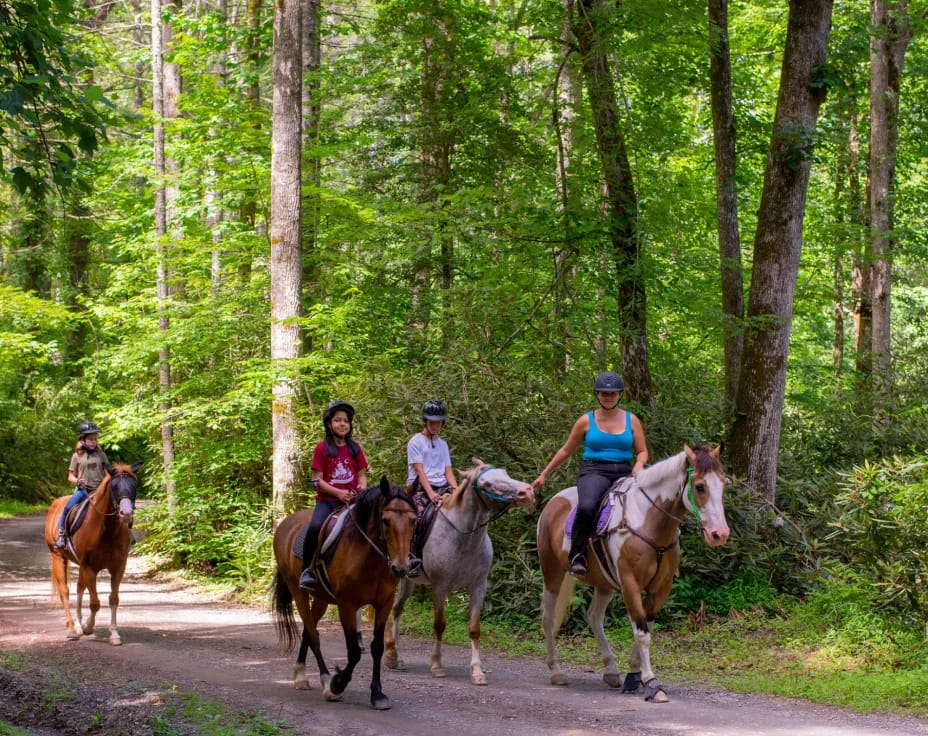a group of people riding horses